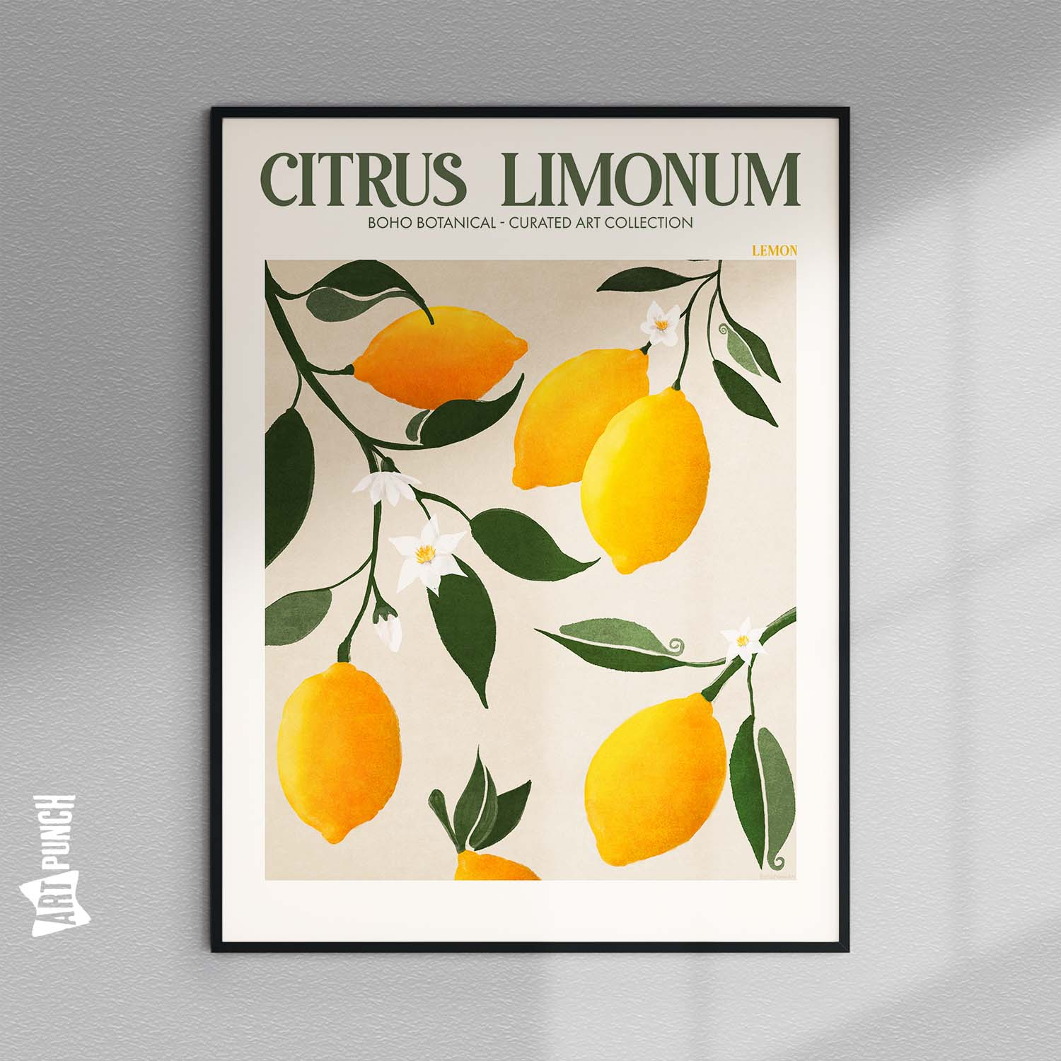 Citrus Limonum - Lemon