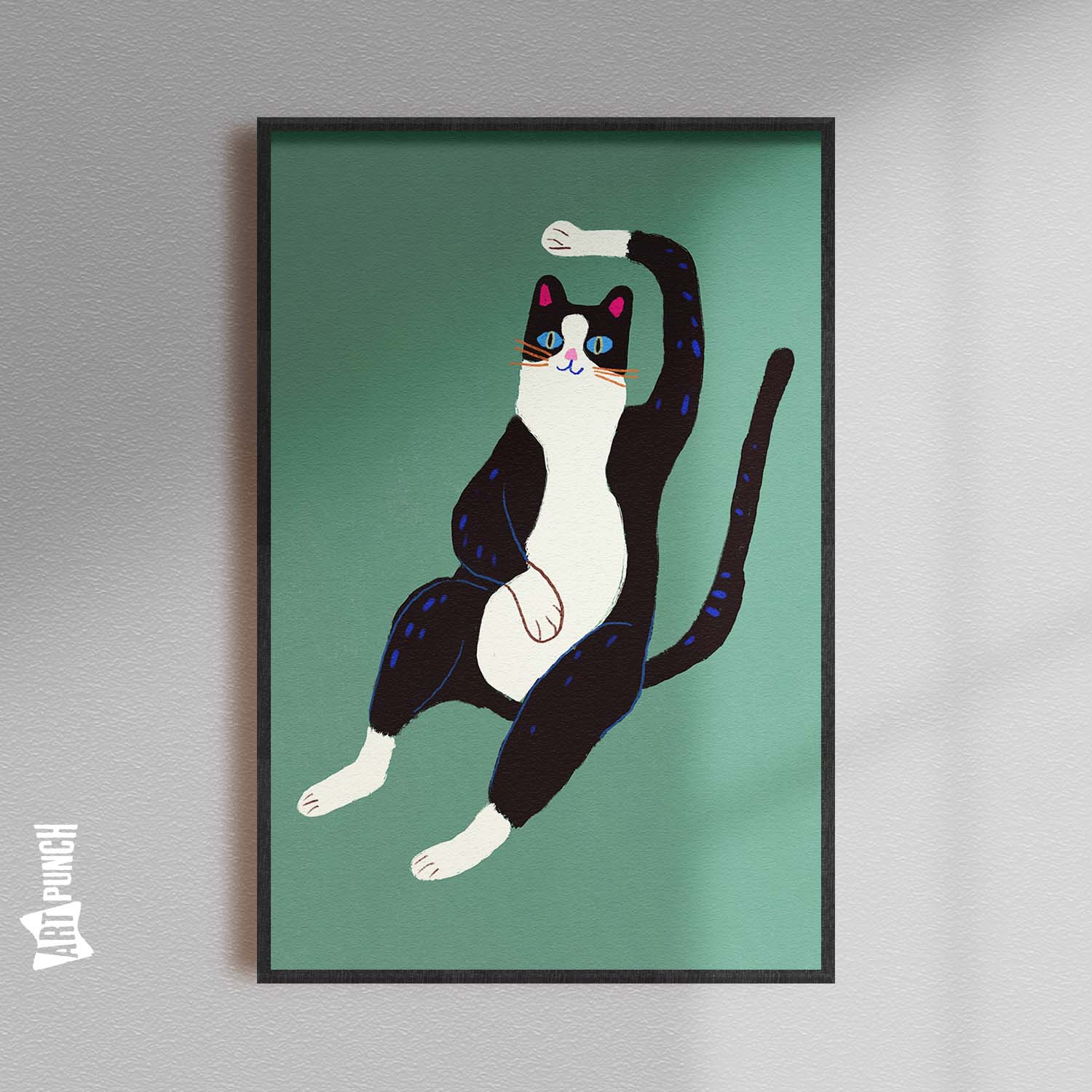 Black and White Cat