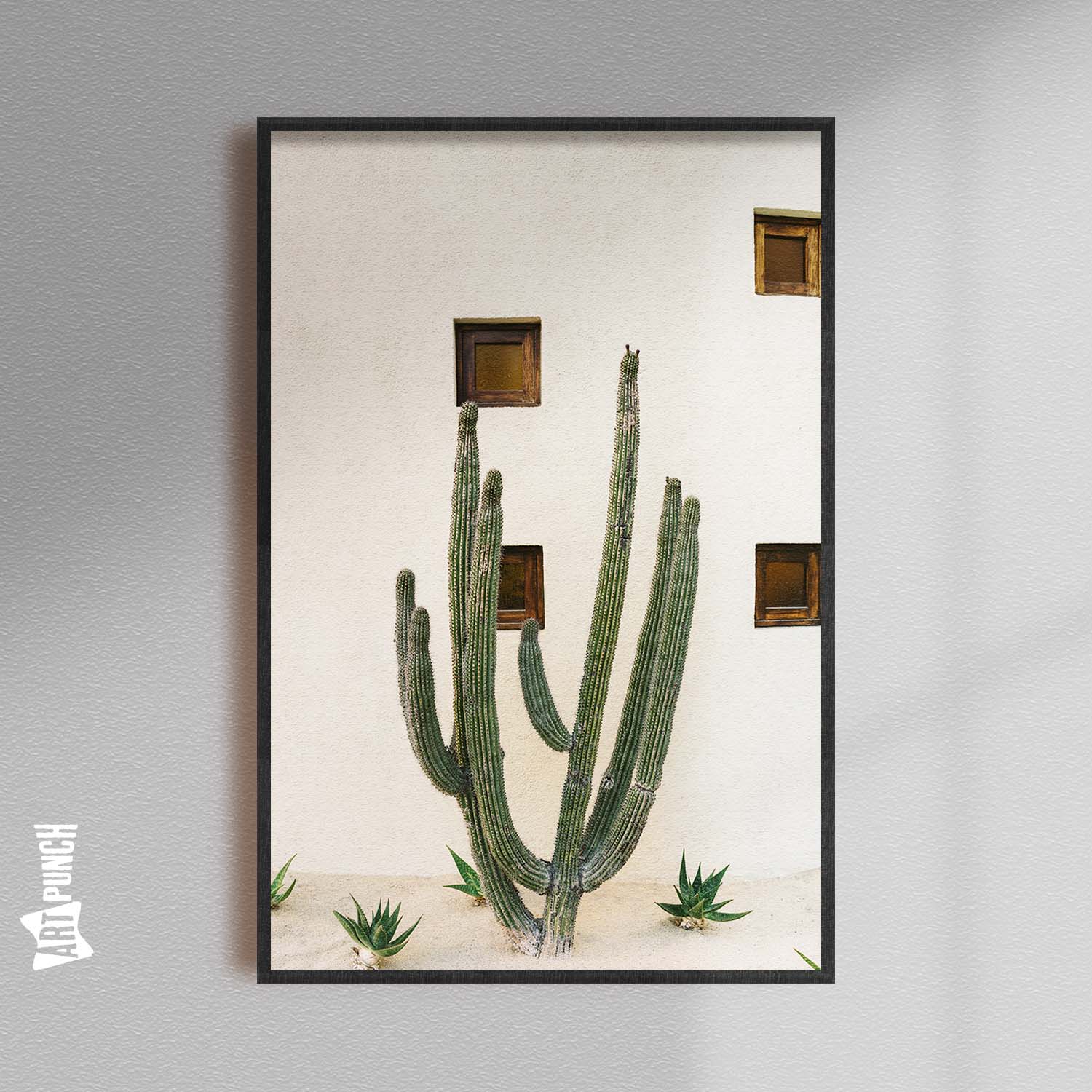 Cabo Cactus IX