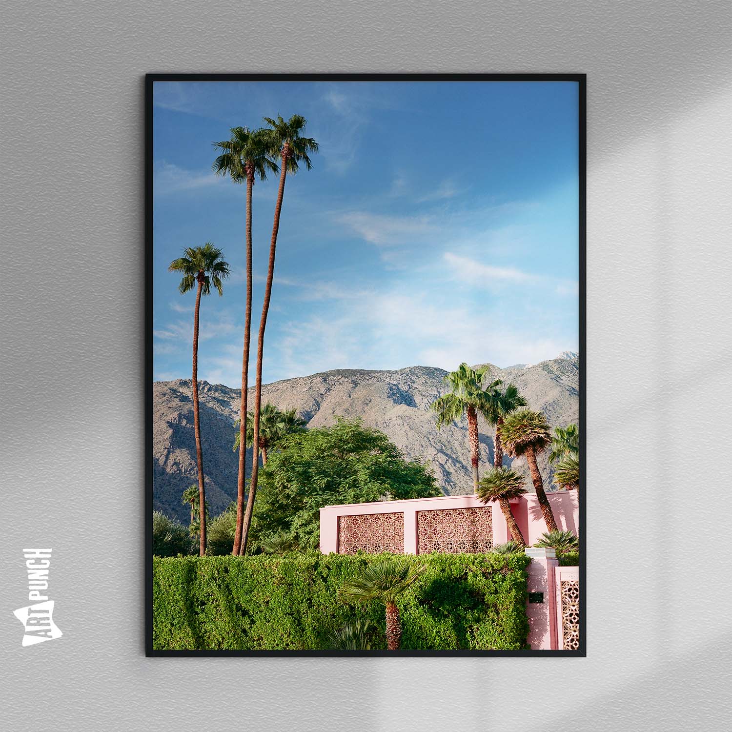 Palm Springs Pink House