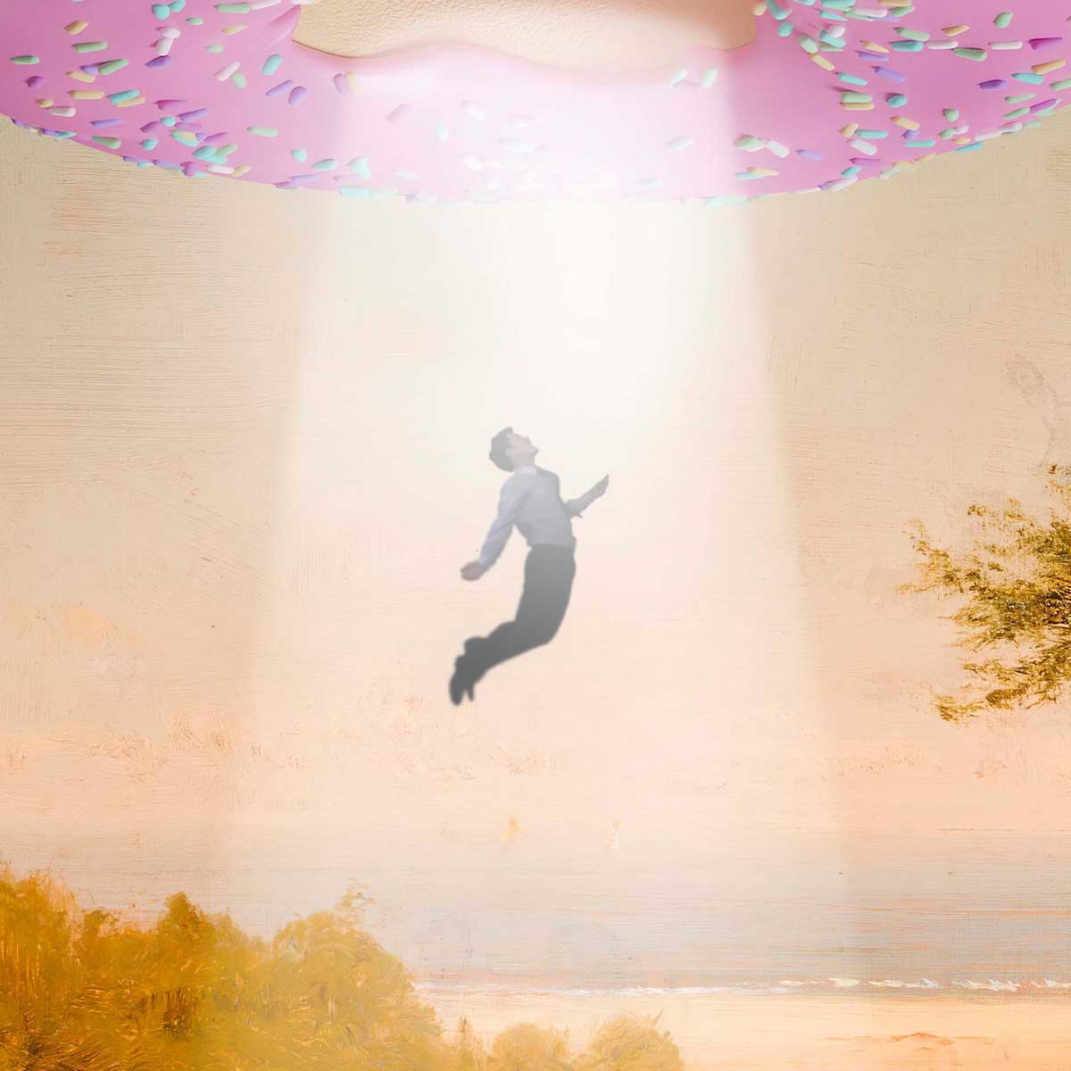 Donut Invasion